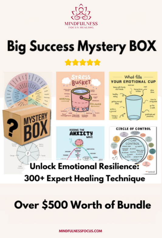 Big Success Mystery Box